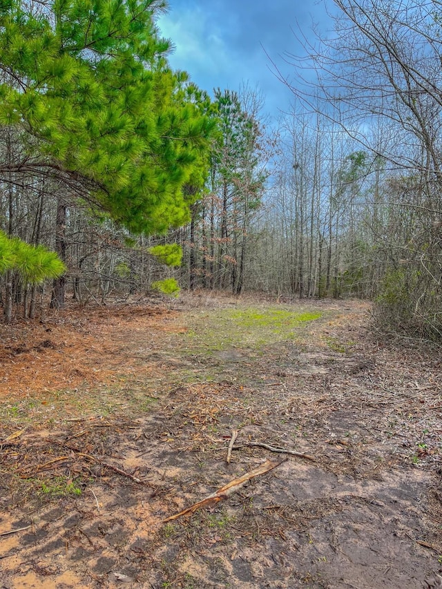 00 Mistletoe Rd, Gilmer, TX 75644