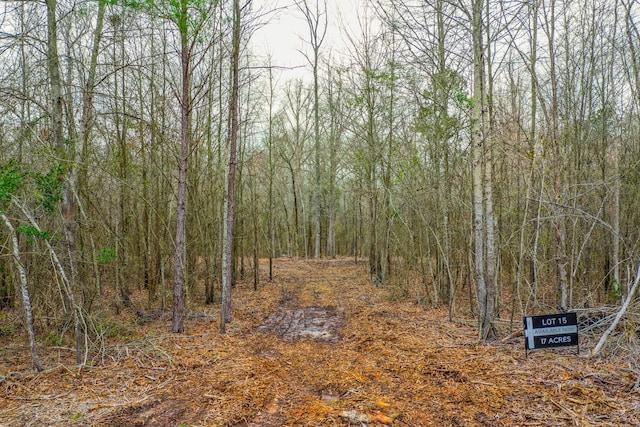 00 Mistletoe Rd, Gilmer, TX 75644