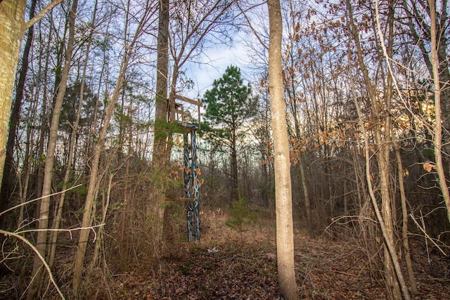 00 Mistletoe Rd, Gilmer, TX 75644
