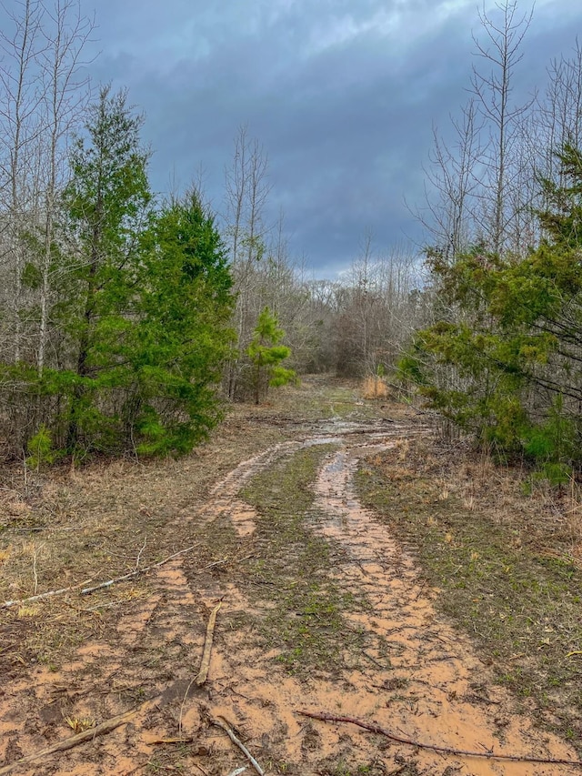 00 Mistletoe Rd, Gilmer, TX 75644