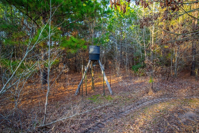 00 Mistletoe Rd, Gilmer, TX 75644