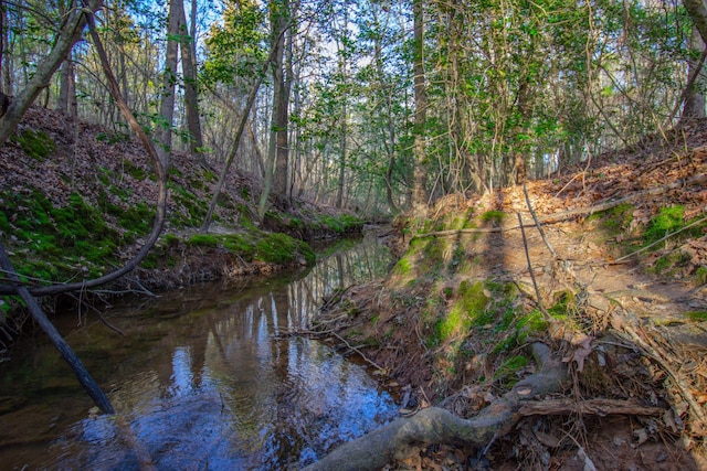 00 Mistletoe Rd, Gilmer, TX 75644
