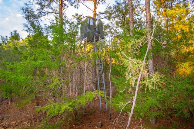 00 Mistletoe Rd, Gilmer, TX 75644