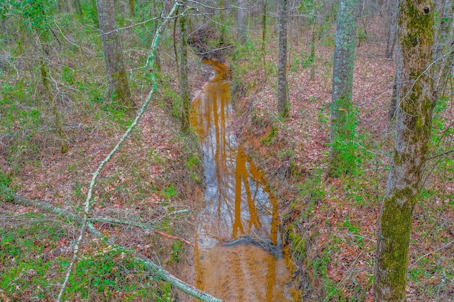 00 Mistletoe Rd, Gilmer, TX 75644