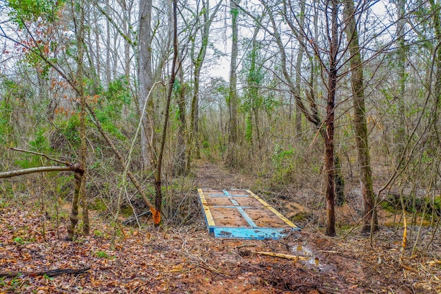 00 Mistletoe Rd, Gilmer, TX 75644