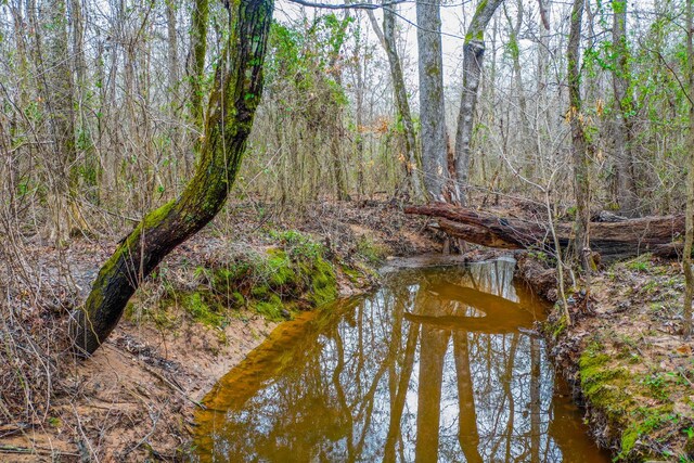 00 Mistletoe Rd, Gilmer, TX 75644