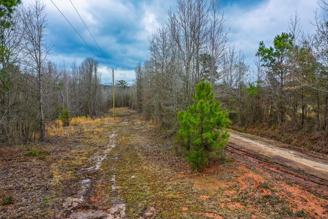 00 Mistletoe Rd, Gilmer, TX 75644