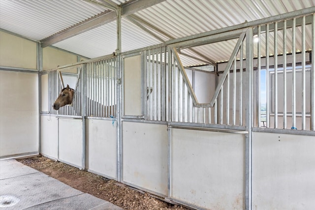 view of horse barn