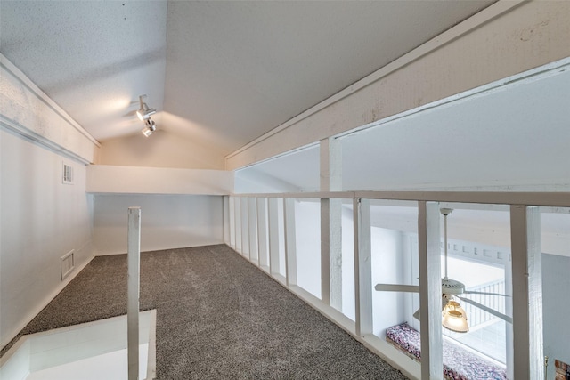 additional living space featuring vaulted ceiling, carpet, and visible vents