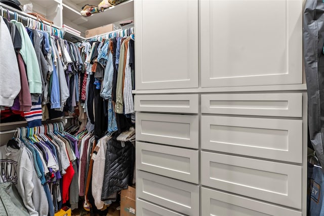 view of spacious closet