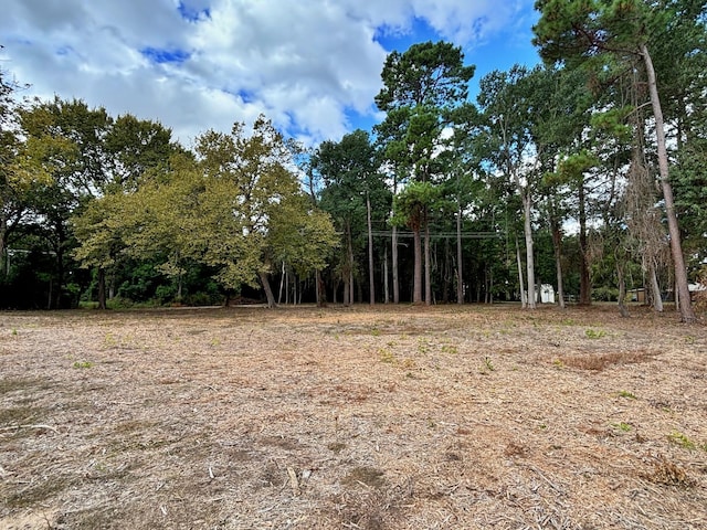2431 N Jefferson, Mount Pleasant, TX 75455 - view of local wilderness