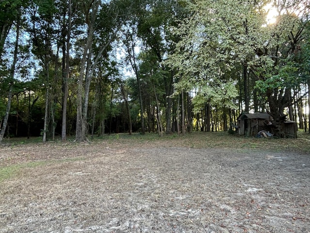 2431 N Jefferson, Mount Pleasant, TX 75455 - view of yard