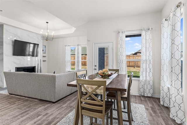 dining room with a high end fireplace, plenty of natural light, a tray ceiling, and wood tiled floor