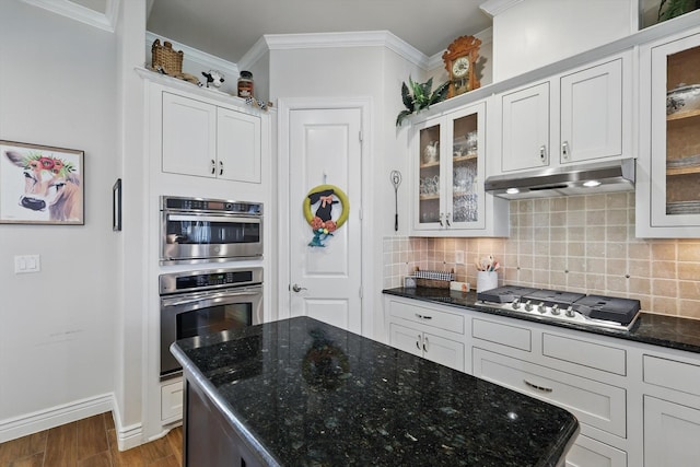 12265 Indian Creek Dr, Fort Worth, TX 76179 - kitchen with stainless steel appliances, under cabinet range hood, backsplash, dark wood-style flooring, and baseboards