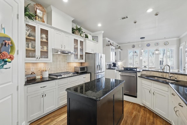 12265 Indian Creek Dr, Fort Worth, TX 76179 - kitchen with a sink, stainless steel appliances, under cabinet range hood, crown molding, and visible vents