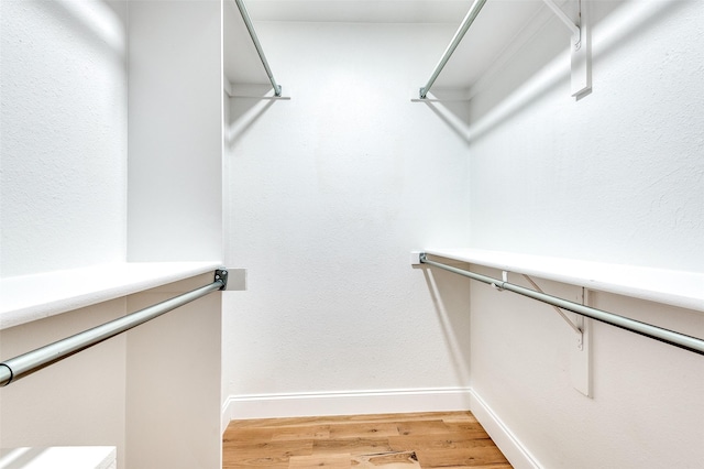 spacious closet with light wood-type flooring