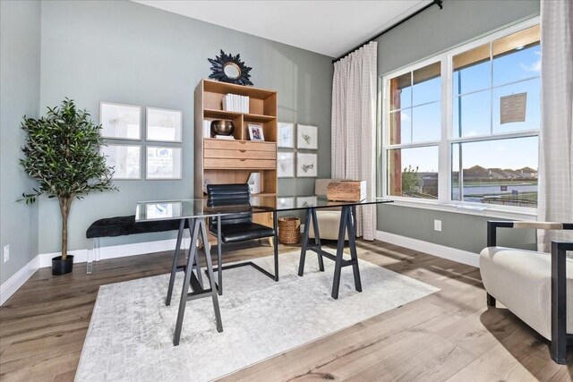 1210 Terrain Ln, Midlothian, TX 76065 - office area featuring plenty of natural light, wood finished floors, and baseboards