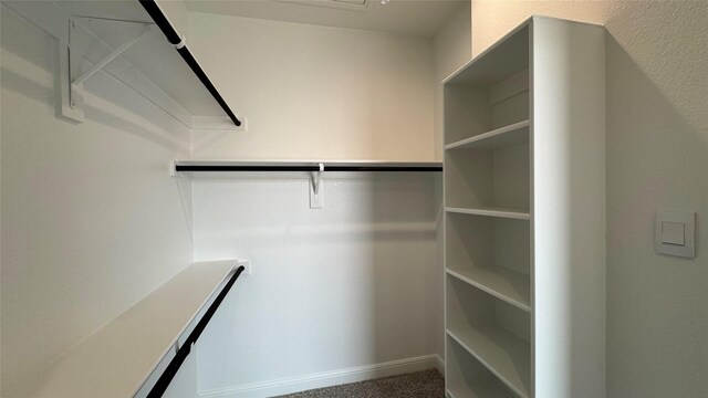 walk in closet featuring carpet floors