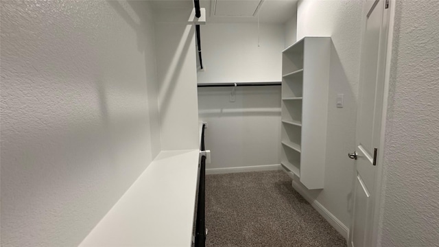 walk in closet with attic access and dark carpet