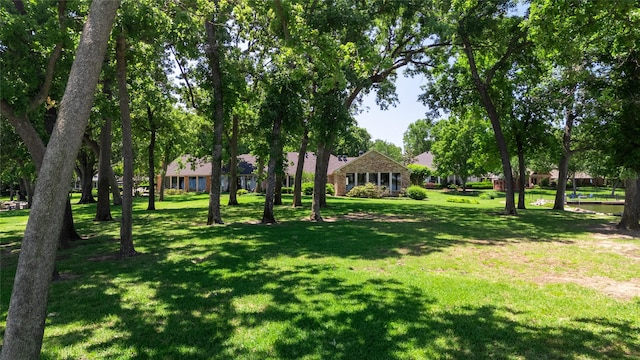 39 Lakeside Dr, Star Harbor, TX 75148 - view of green lawn