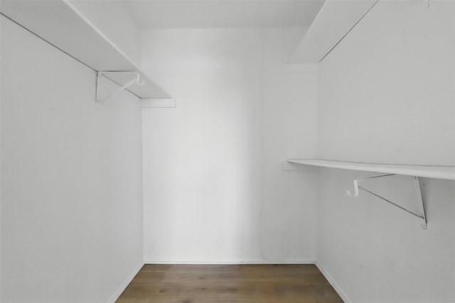 1329 Steinburg Ln, Fort Worth, TX 76134 - spacious closet with wood finished floors