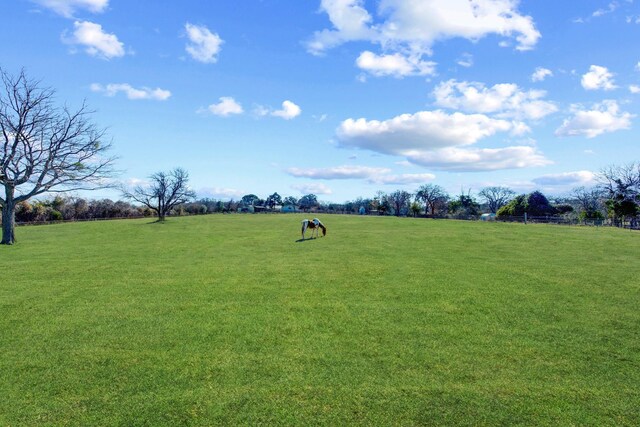 3508 Sentinel Oak Dr, Flower Mound, TX 75022 - view of property's community featuring a yard and a rural view