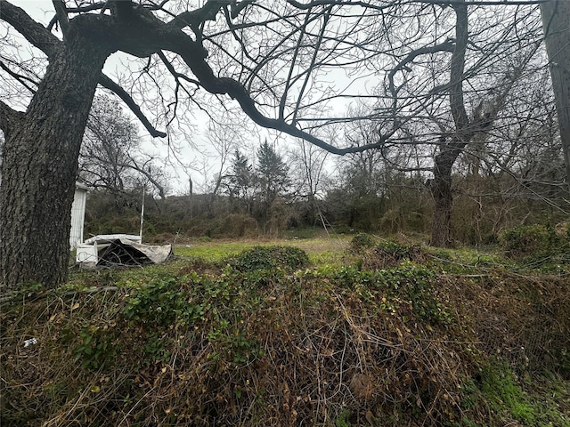 view of nature