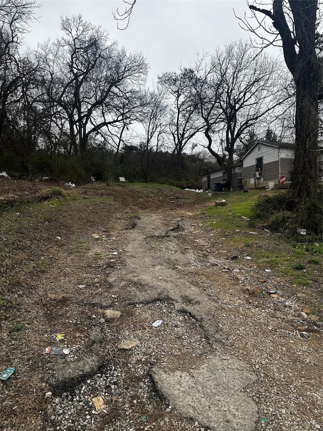 view of yard featuring driveway