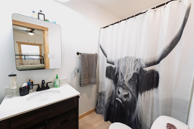 full bathroom featuring a shower with shower curtain, toilet, wood finished floors, and vanity