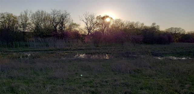 view of nature at dusk