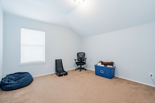 1106 Mule Deer, Forney, TX 75126 - interior space with baseboards, carpet, and vaulted ceiling