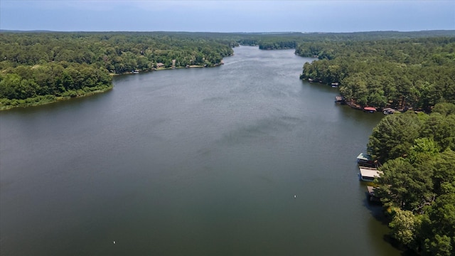 736 Wildwood Trl, Holly Lake Ranch, TX 75765 - aerial view of a forest and a nearby body of water