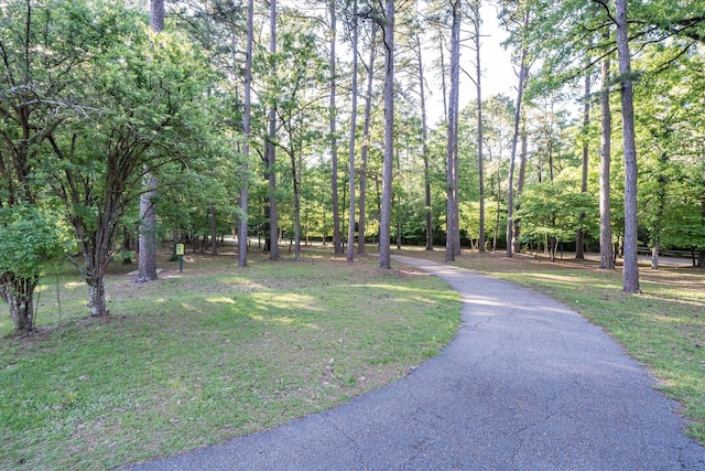736 Wildwood Trl, Holly Lake Ranch, TX 75765 - view of community with a yard and driveway