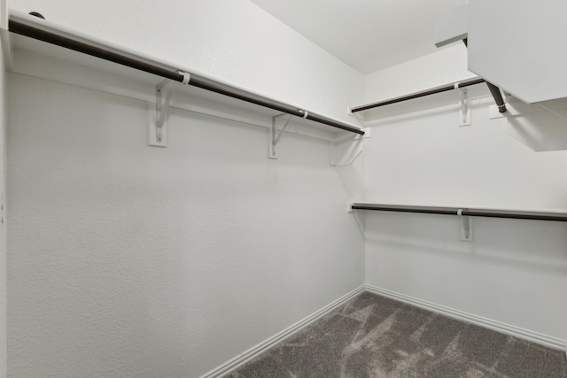 walk in closet with dark colored carpet