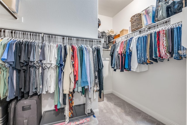 walk in closet with carpet