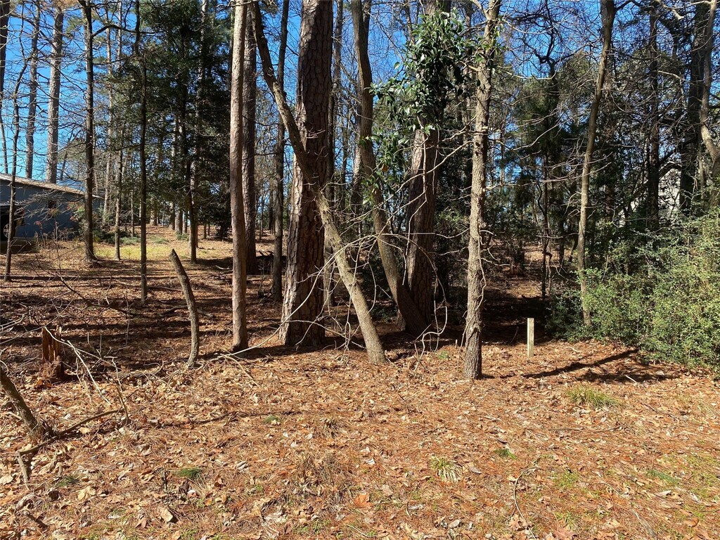 LOT303 Weeping Willow Cv, Hawkins, TX 75765