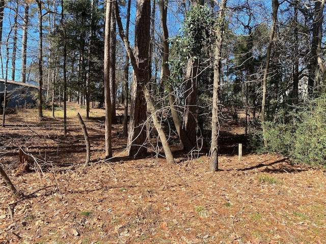 LOT303 Weeping Willow Cv, Hawkins, TX 75765