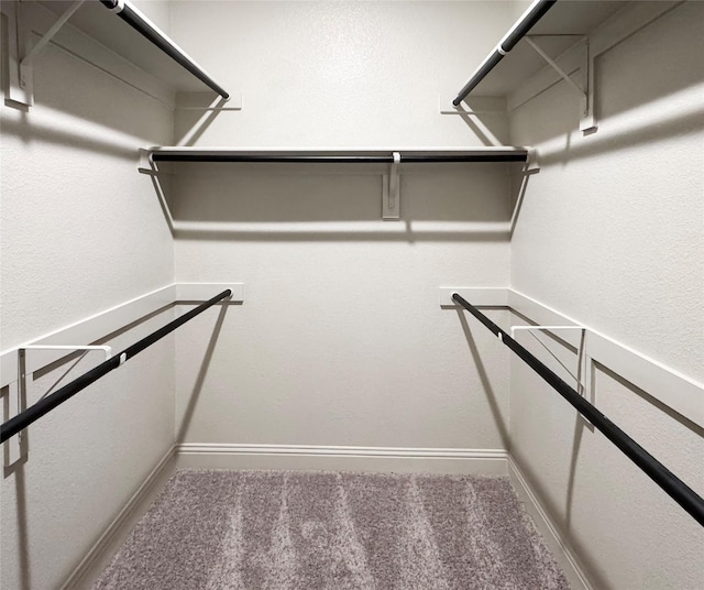 walk in closet with carpet