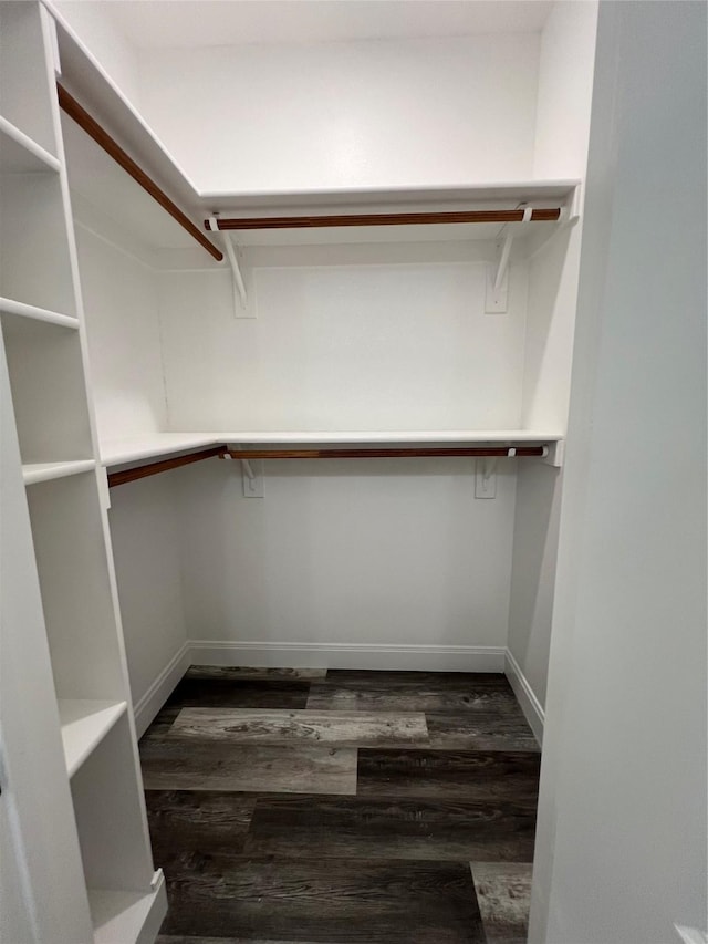 walk in closet with wood finished floors