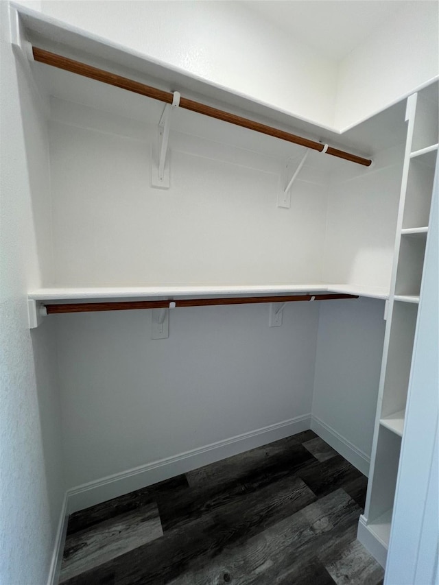 spacious closet featuring dark wood-type flooring