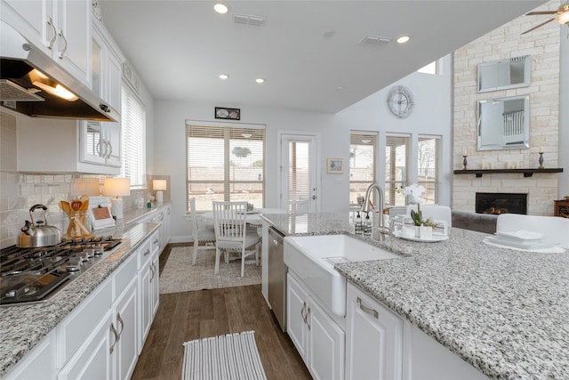1628 Eleanor Dr, Fort Worth, TX 76052 - kitchen with appliances with stainless steel finishes, under cabinet range hood, a sink, dark wood finished floors, and a fireplace