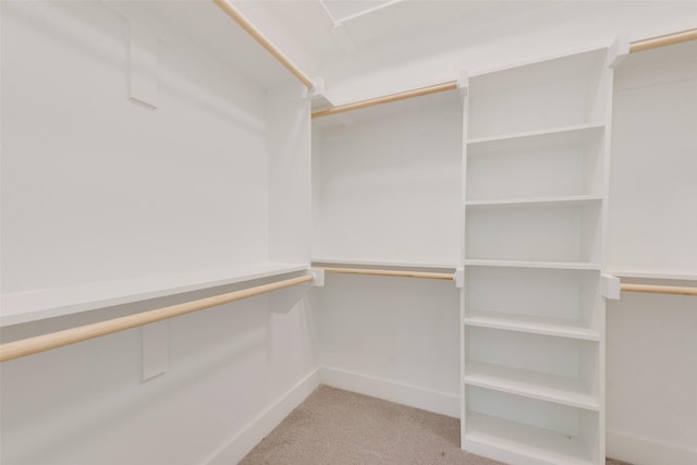4515 Eutopia St, Greenville, TX 75401 - spacious closet featuring carpet flooring
