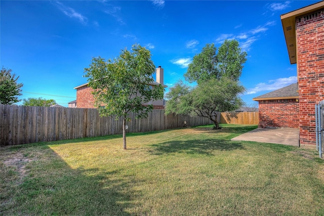 view of yard featuring a fenced backyard and a patio