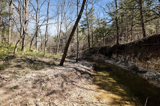 view of local wilderness featuring a view of trees
