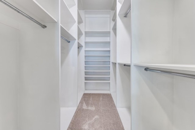 4609 Steel St, Dallas, TX 75219 - spacious closet with carpet flooring
