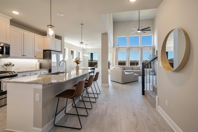 kitchen with light wood-type flooring, stainless steel appliances, a sink, and ceiling fan
