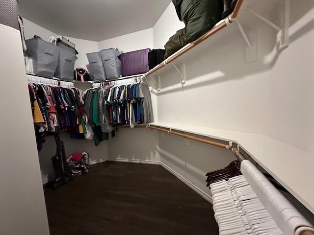 1615 Summerfield Dr, Allen, TX 75002 - walk in closet featuring wood finished floors