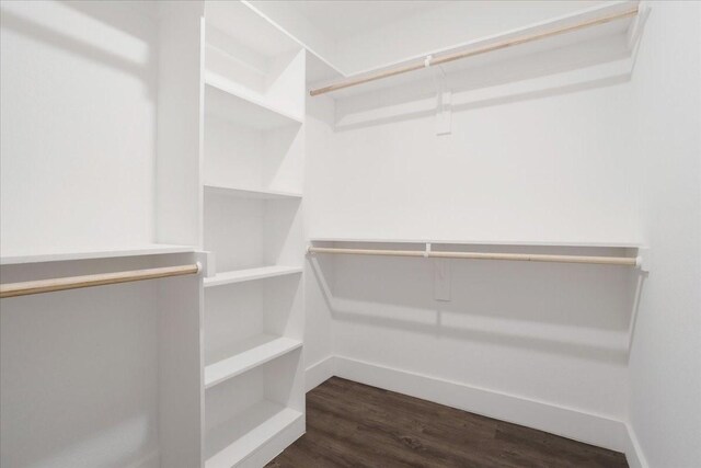 walk in closet featuring dark wood finished floors