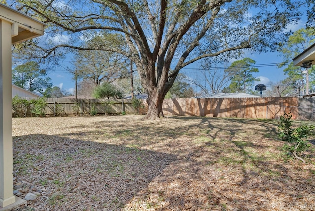 view of yard featuring a fenced backyard