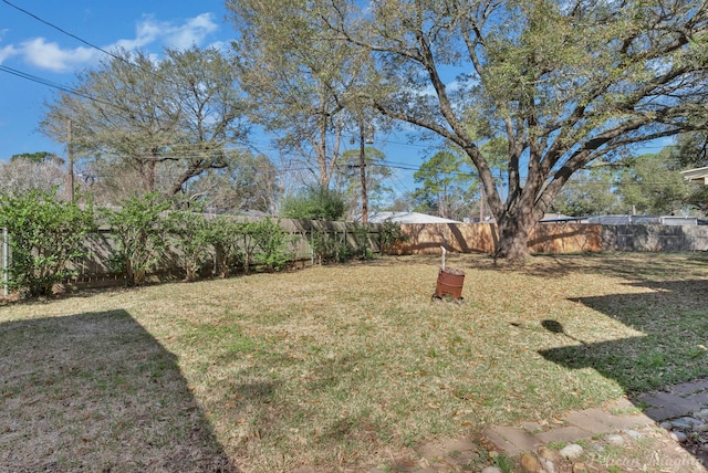 view of yard featuring a fenced backyard